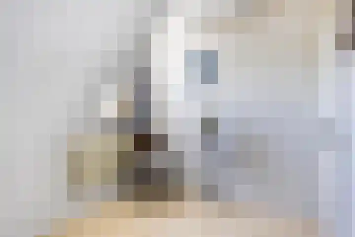 Zoekant 19 Eindhoven thumbnail 30