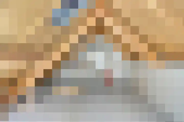 Zoekant 19 Eindhoven thumbnail 31