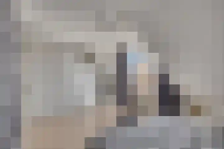 Zoekant 19 Eindhoven thumbnail 4