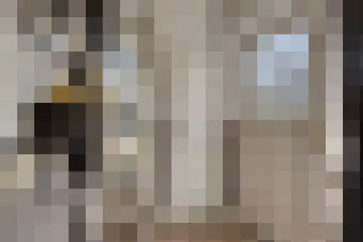 Zoekant 19 Eindhoven thumbnail 8