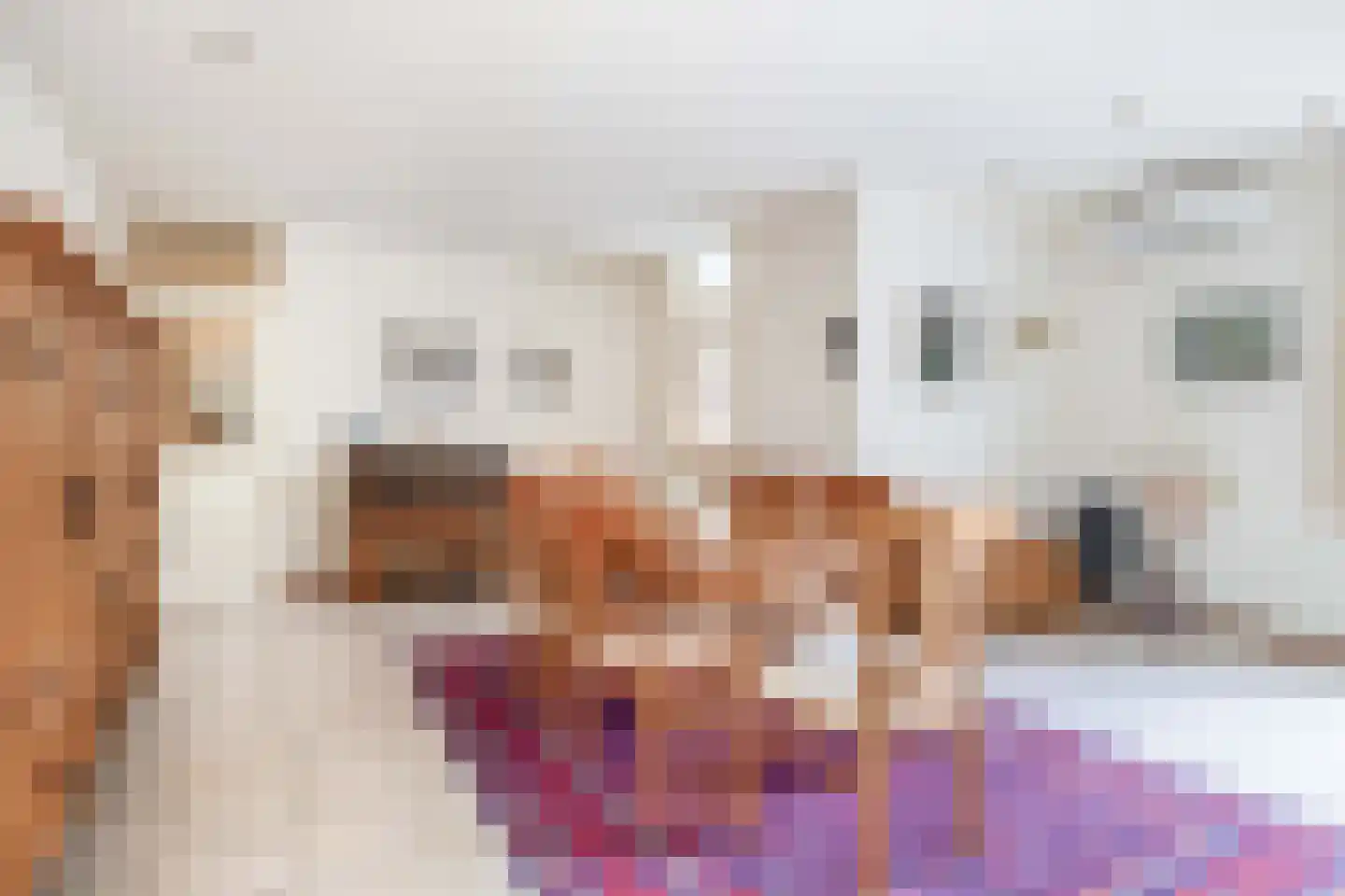 Zoekant 6 Eindhoven thumbnail 18
