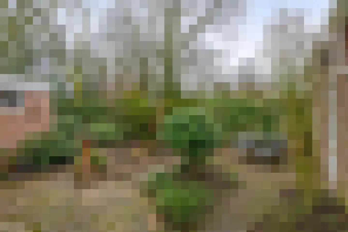 Zoekant 6 Eindhoven thumbnail 36