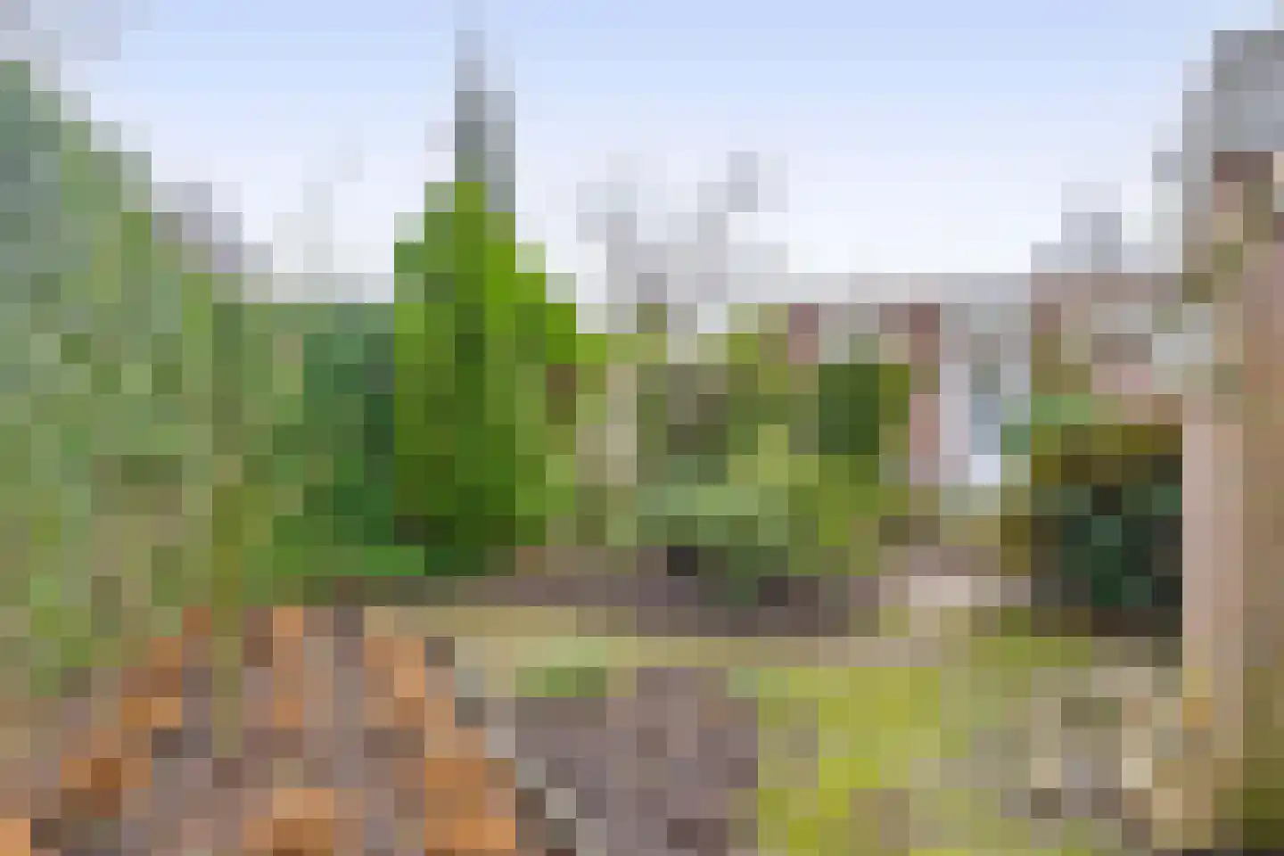 Zoekant 6 Eindhoven thumbnail 40