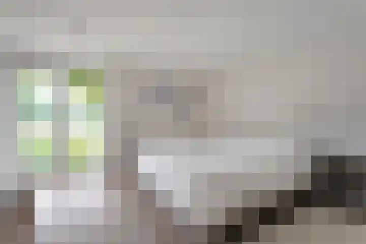 Zoekeweg 2 Reutum thumbnail 13
