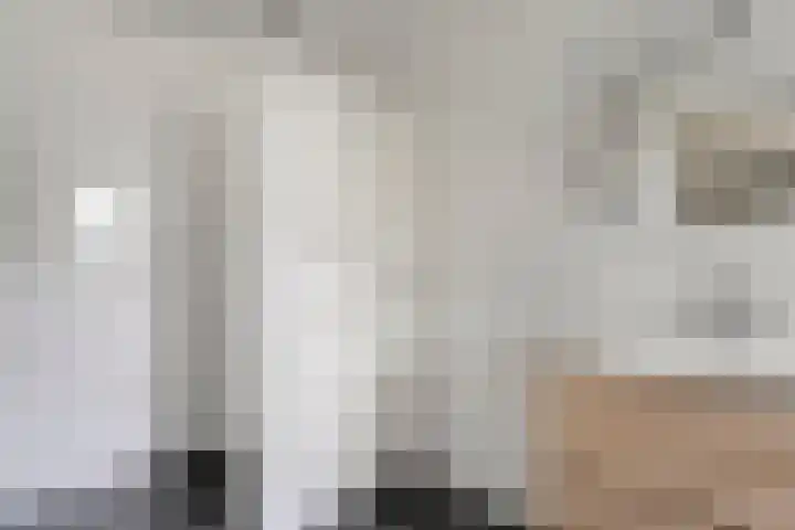Zoekeweg 2 Reutum thumbnail 14