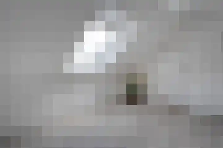 Zoekeweg 2 Reutum thumbnail 16