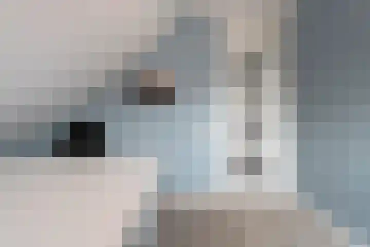 Zoekeweg 2 Reutum thumbnail 17