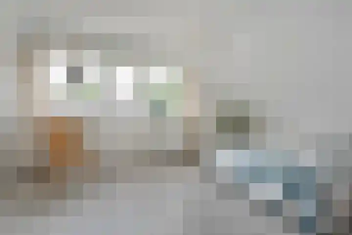 Zoekeweg 2 Reutum thumbnail 19