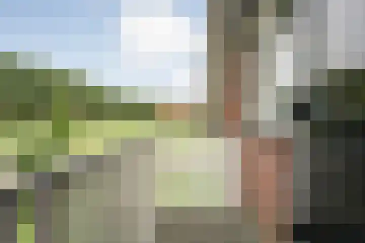 Zoekeweg 2 Reutum thumbnail 20