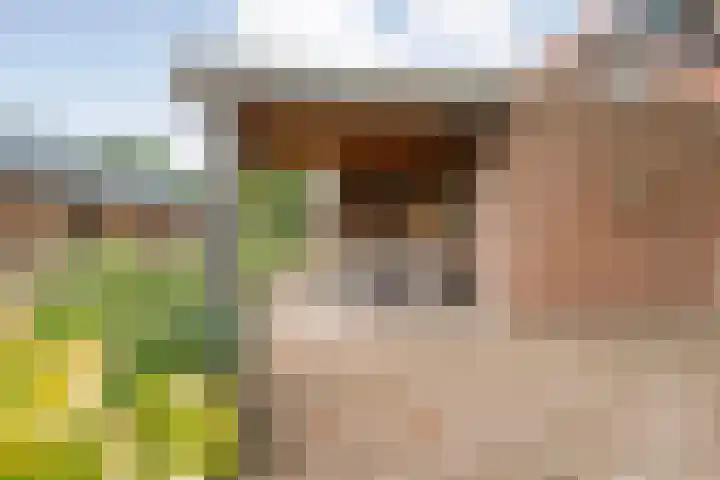 Zoekeweg 2 Reutum thumbnail 22