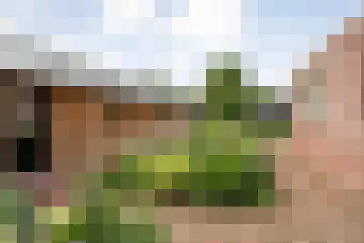 Zoekeweg 2 Reutum thumbnail 23