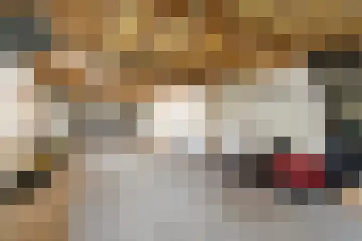 Zoekeweg 2 Reutum thumbnail 25