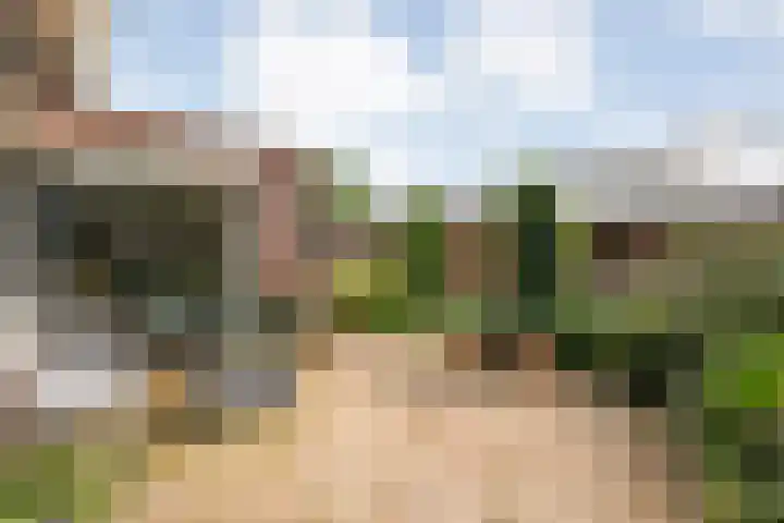 Zoekeweg 2 Reutum thumbnail 27