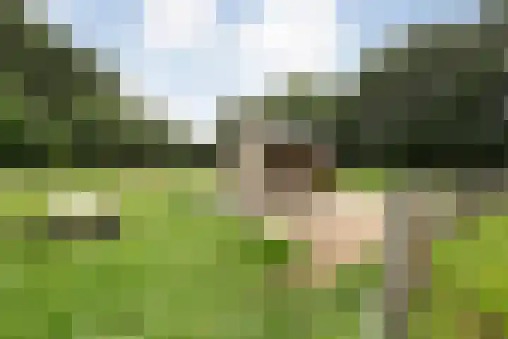 Zoekeweg 2 Reutum thumbnail 30