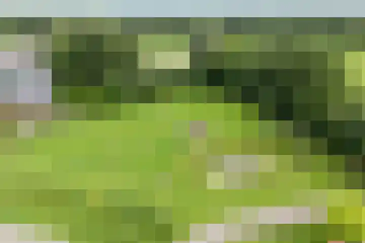 Zoekeweg 2 Reutum thumbnail 31