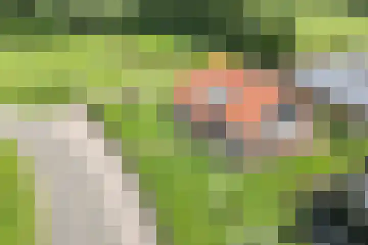 Zoekeweg 2 Reutum thumbnail 32