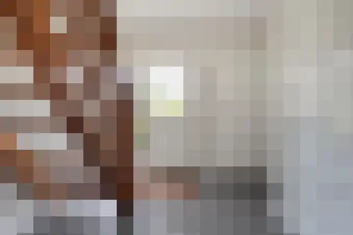 Zoekeweg 2 Reutum thumbnail 5