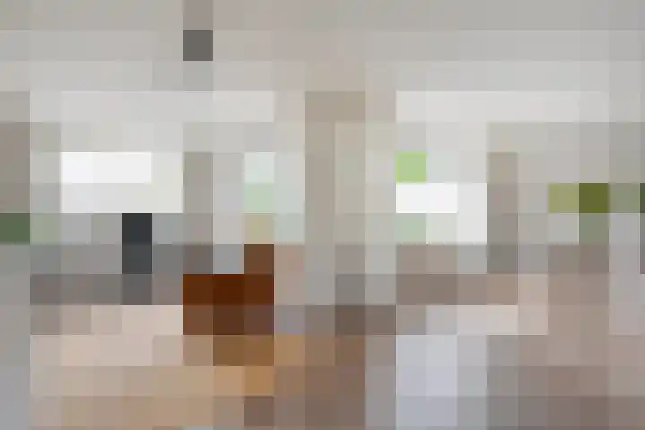 Zoekeweg 2 Reutum thumbnail 6