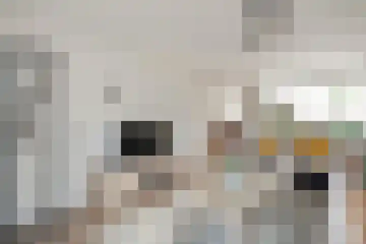 Zoekeweg 2 Reutum thumbnail 8