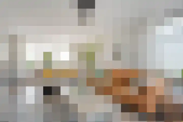 Zoekeweg 2 Reutum thumbnail 9