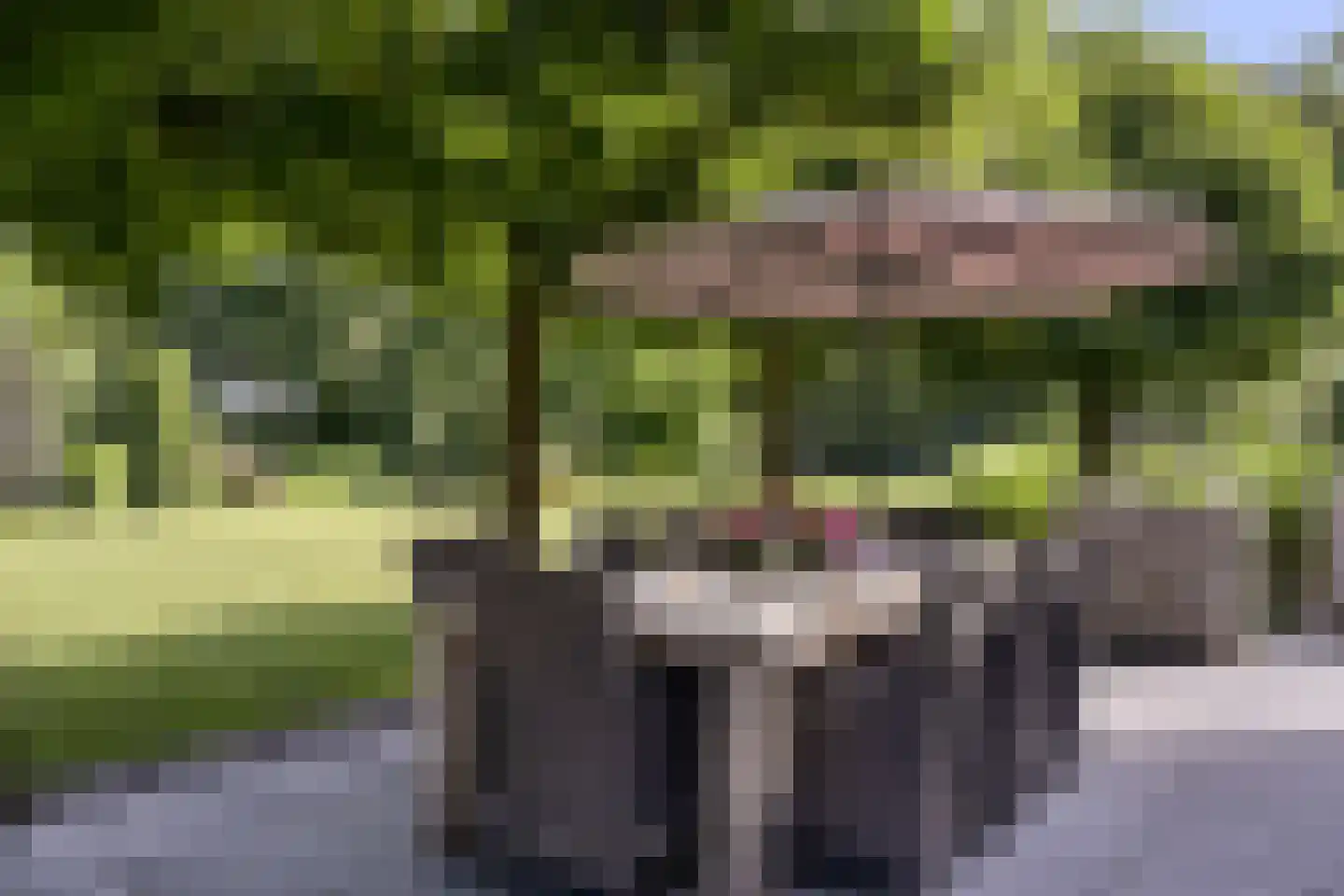 Zoeksestraat 19 Schijf thumbnail 11