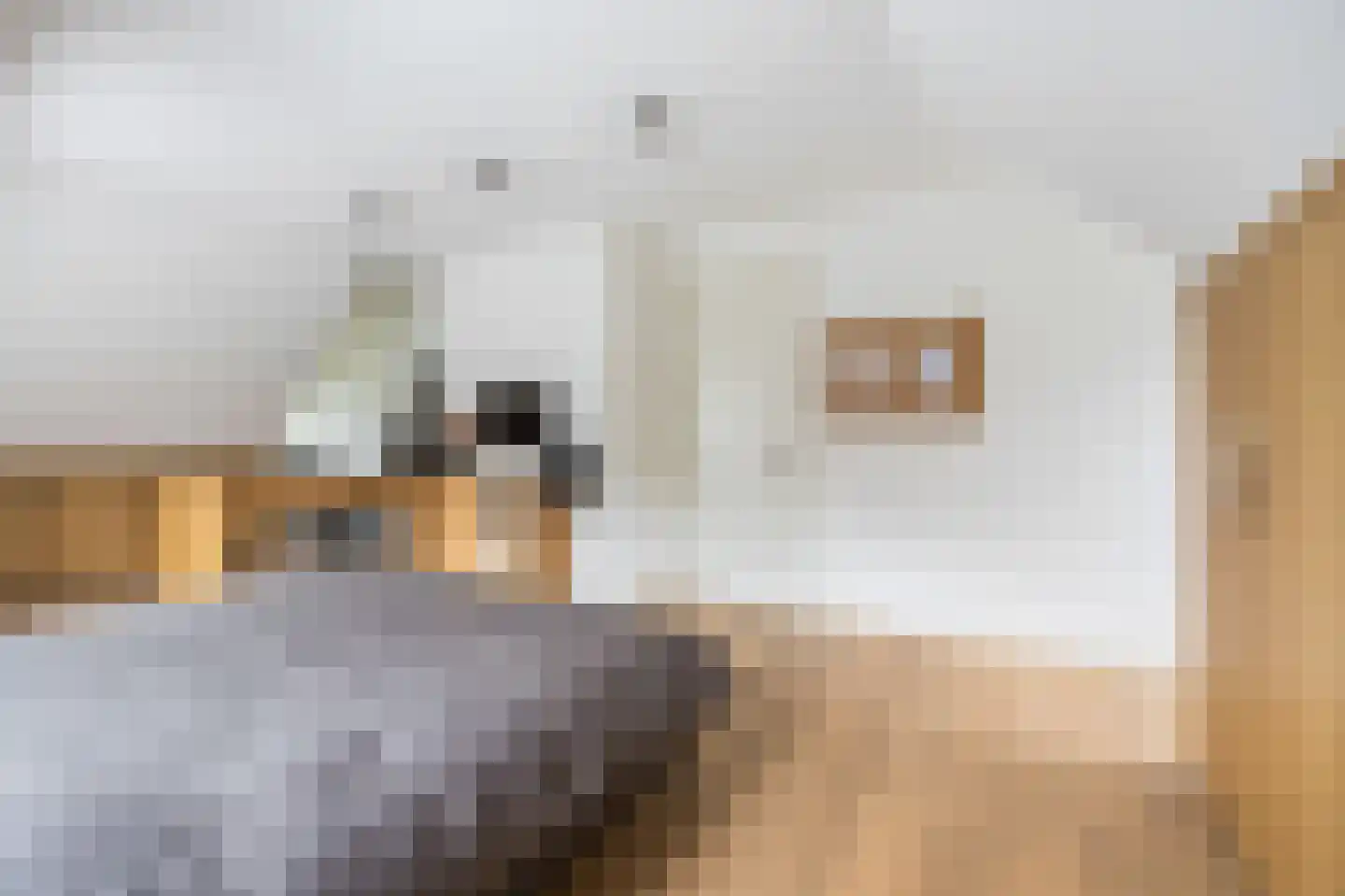 Zoeksestraat 19 Schijf thumbnail 17