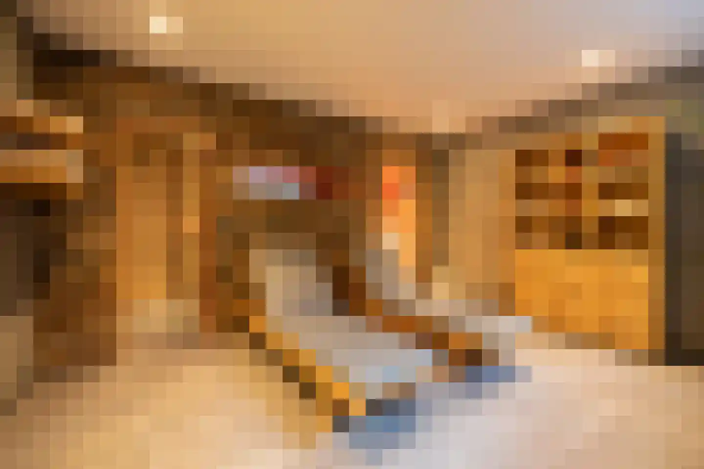 Zoeksestraat 19 Schijf thumbnail 22