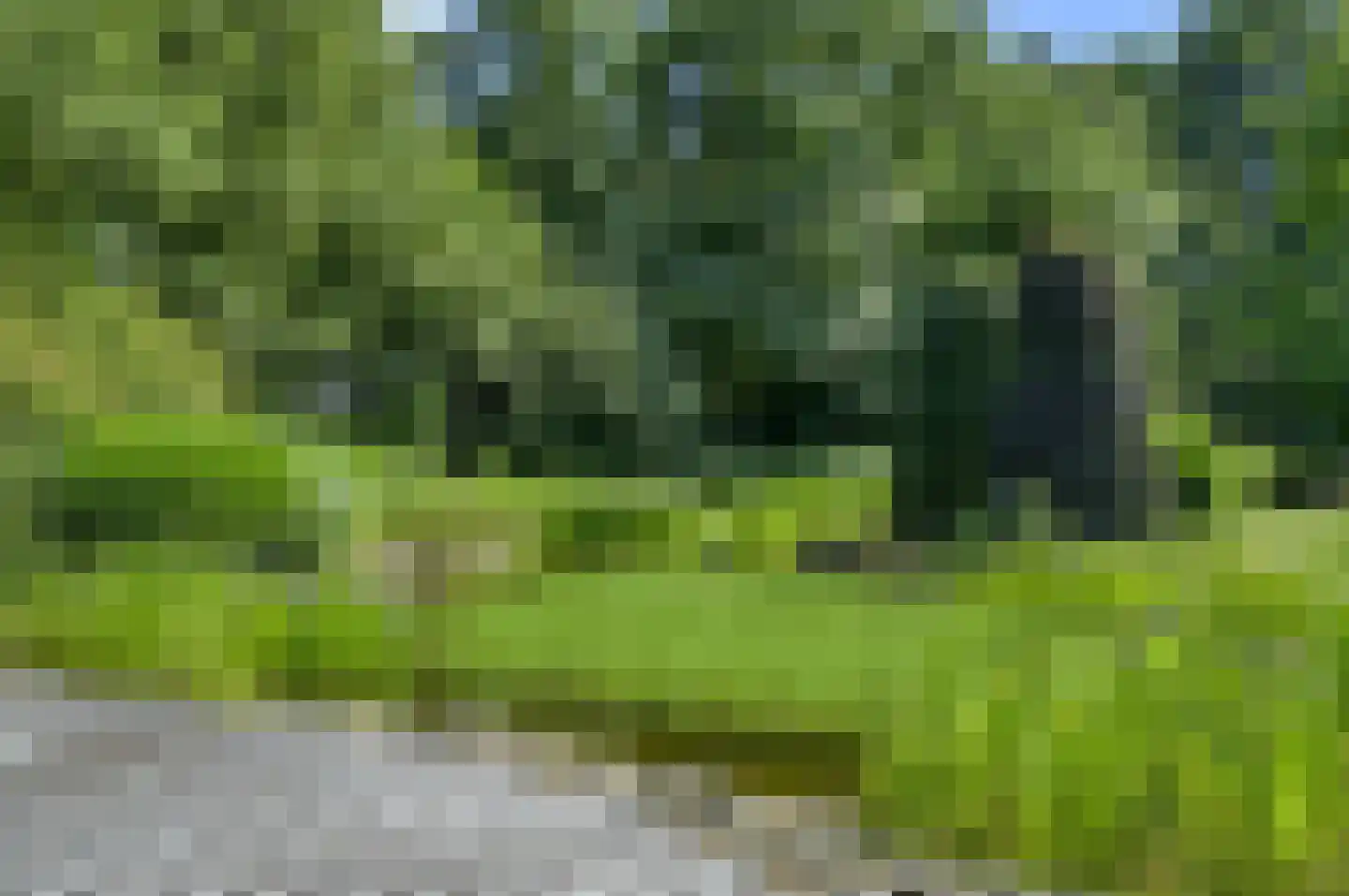 Zoeksestraat 19 Schijf thumbnail 26
