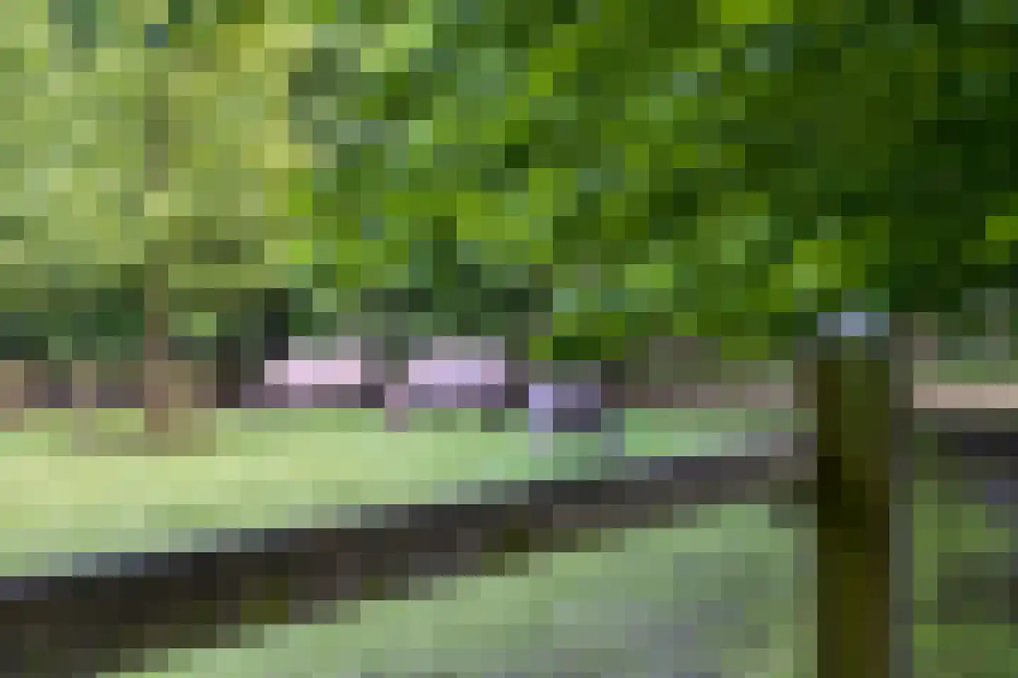 Zoeksestraat 19 Schijf thumbnail 33