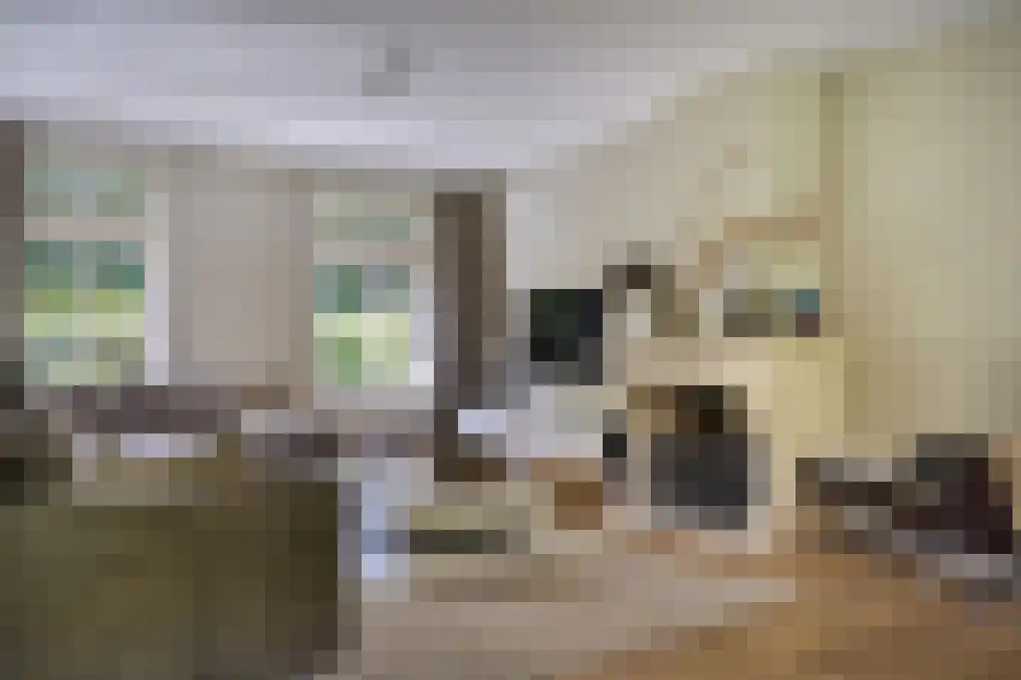 Zoeksestraat 19 Schijf thumbnail 5