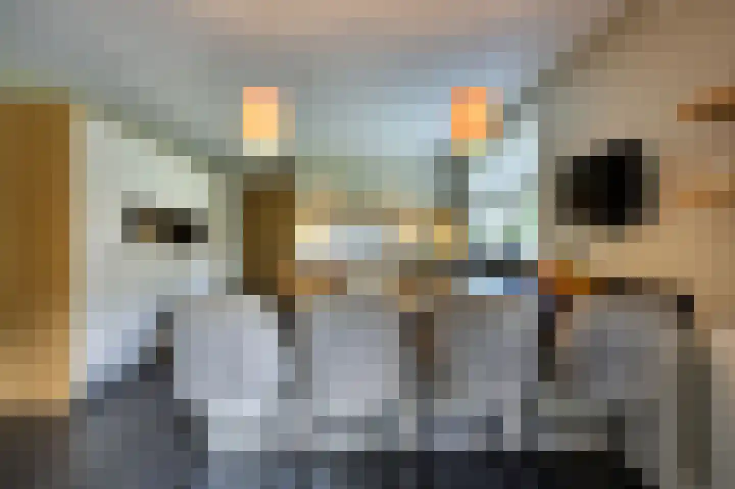 Zoeksestraat 19 Schijf thumbnail 7