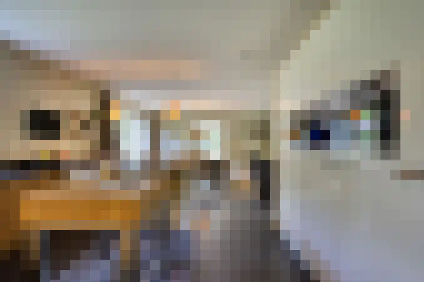 Zoeksestraat 19 Schijf thumbnail 9