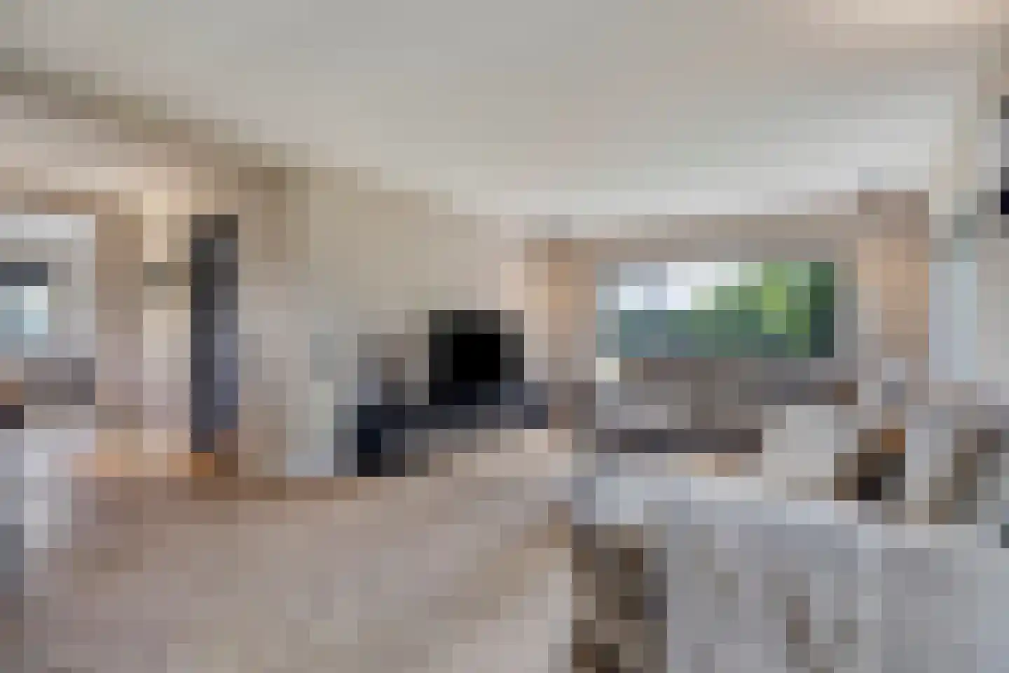 Zoekweg 8 Steenbergen thumbnail 12