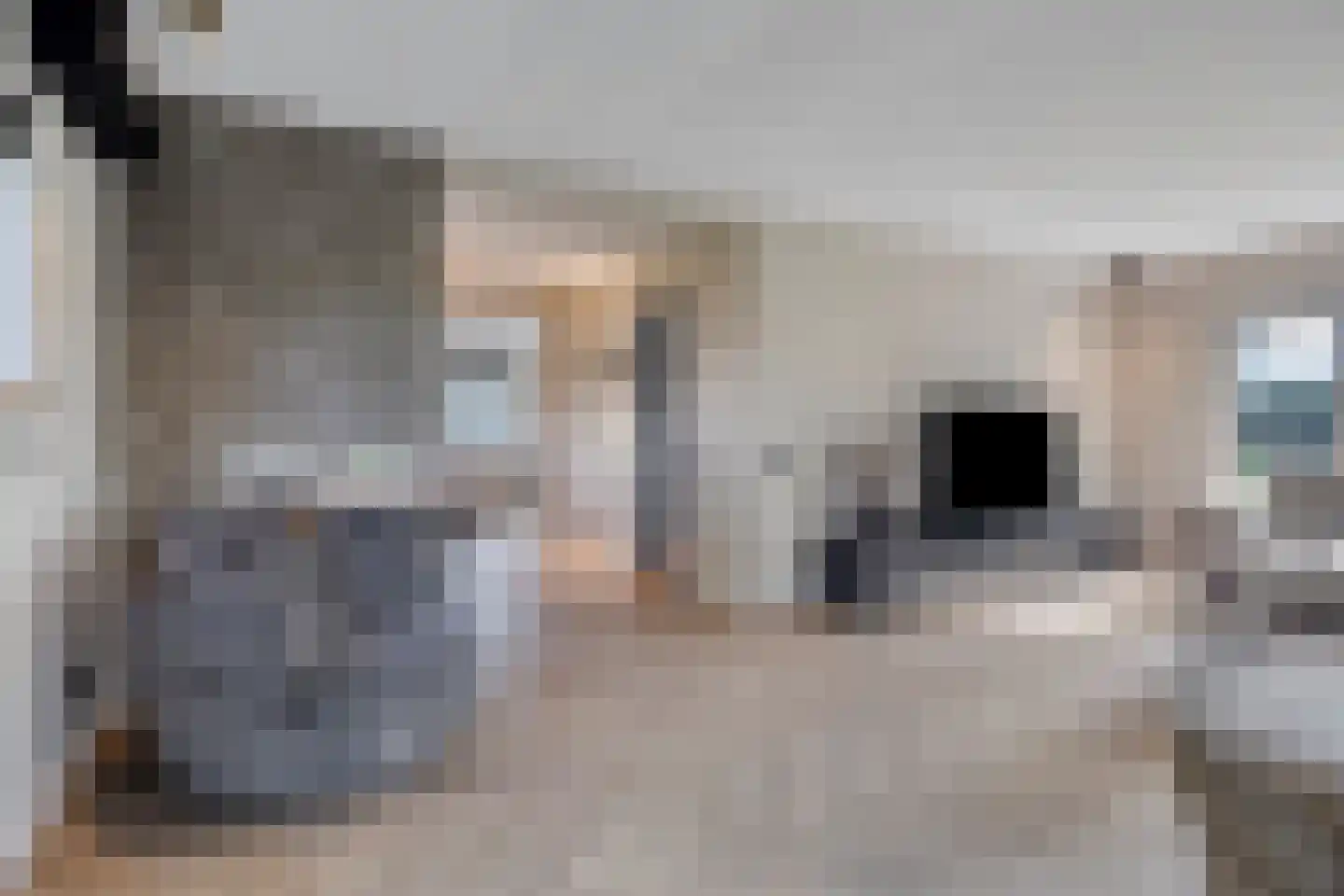 Zoekweg 8 Steenbergen thumbnail 13