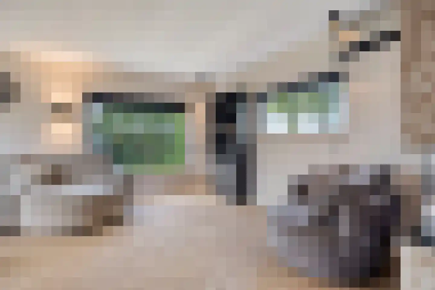 Zoekweg 8 Steenbergen thumbnail 16