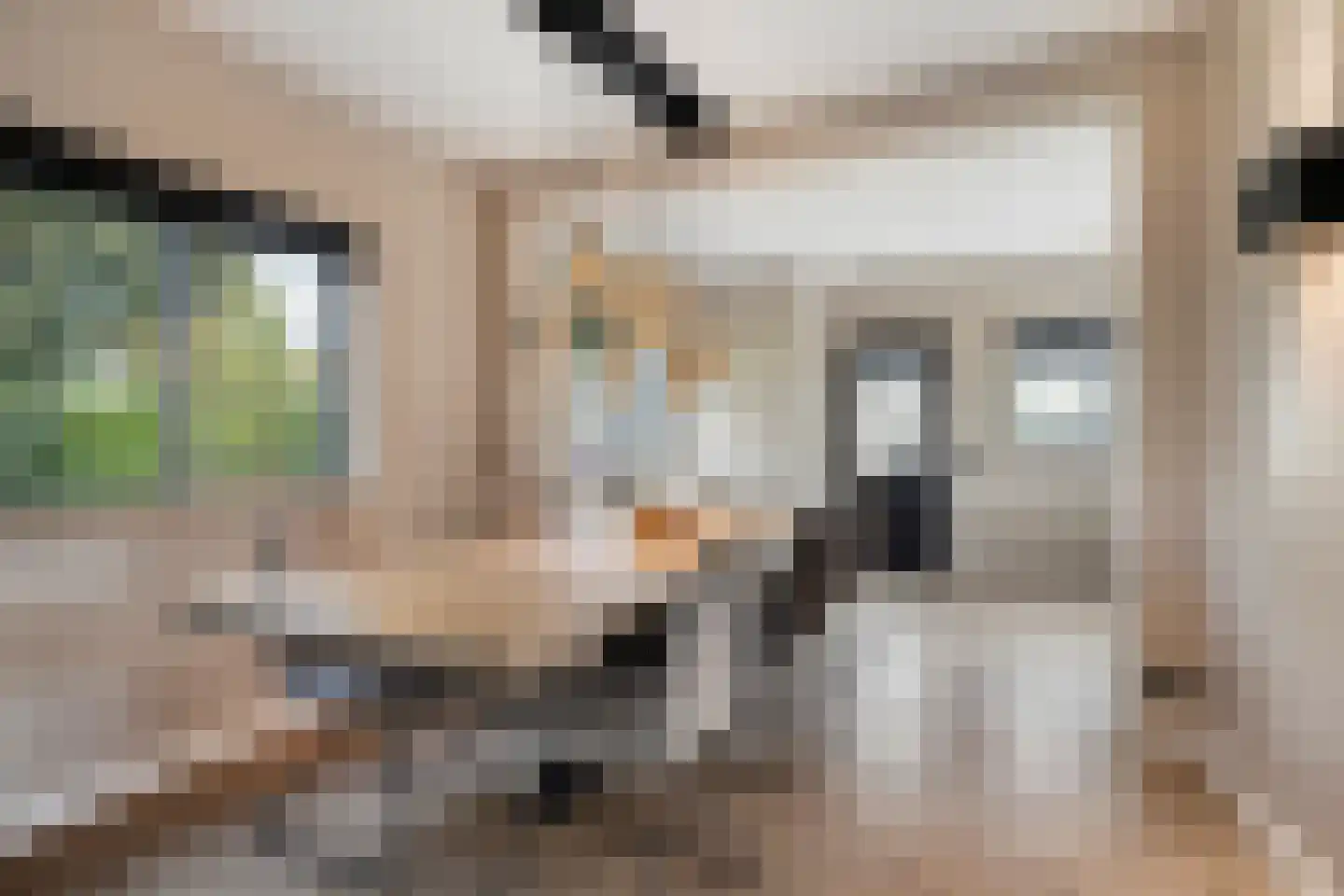 Zoekweg 8 Steenbergen thumbnail 17