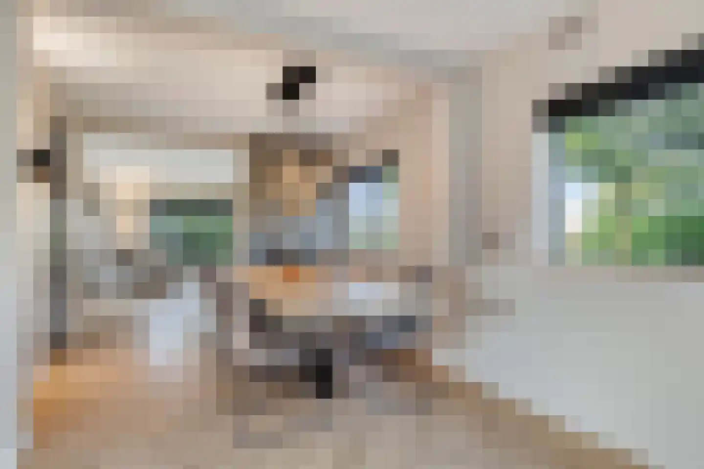 Zoekweg 8 Steenbergen thumbnail 18