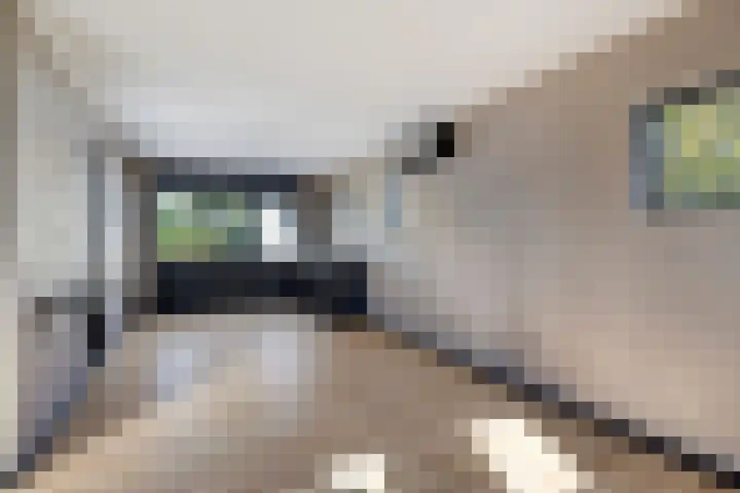 Zoekweg 8 Steenbergen thumbnail 62
