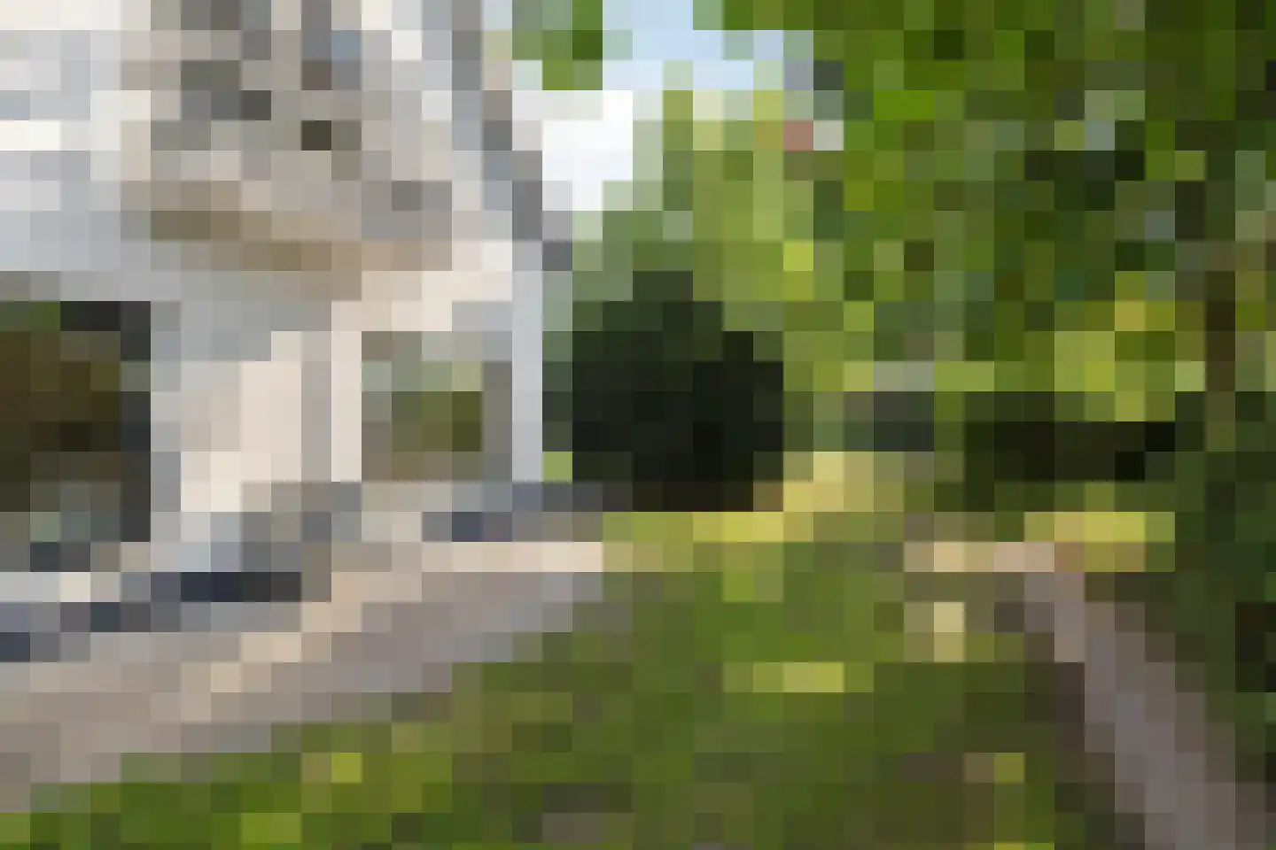Zoekweg 8 Steenbergen thumbnail 69