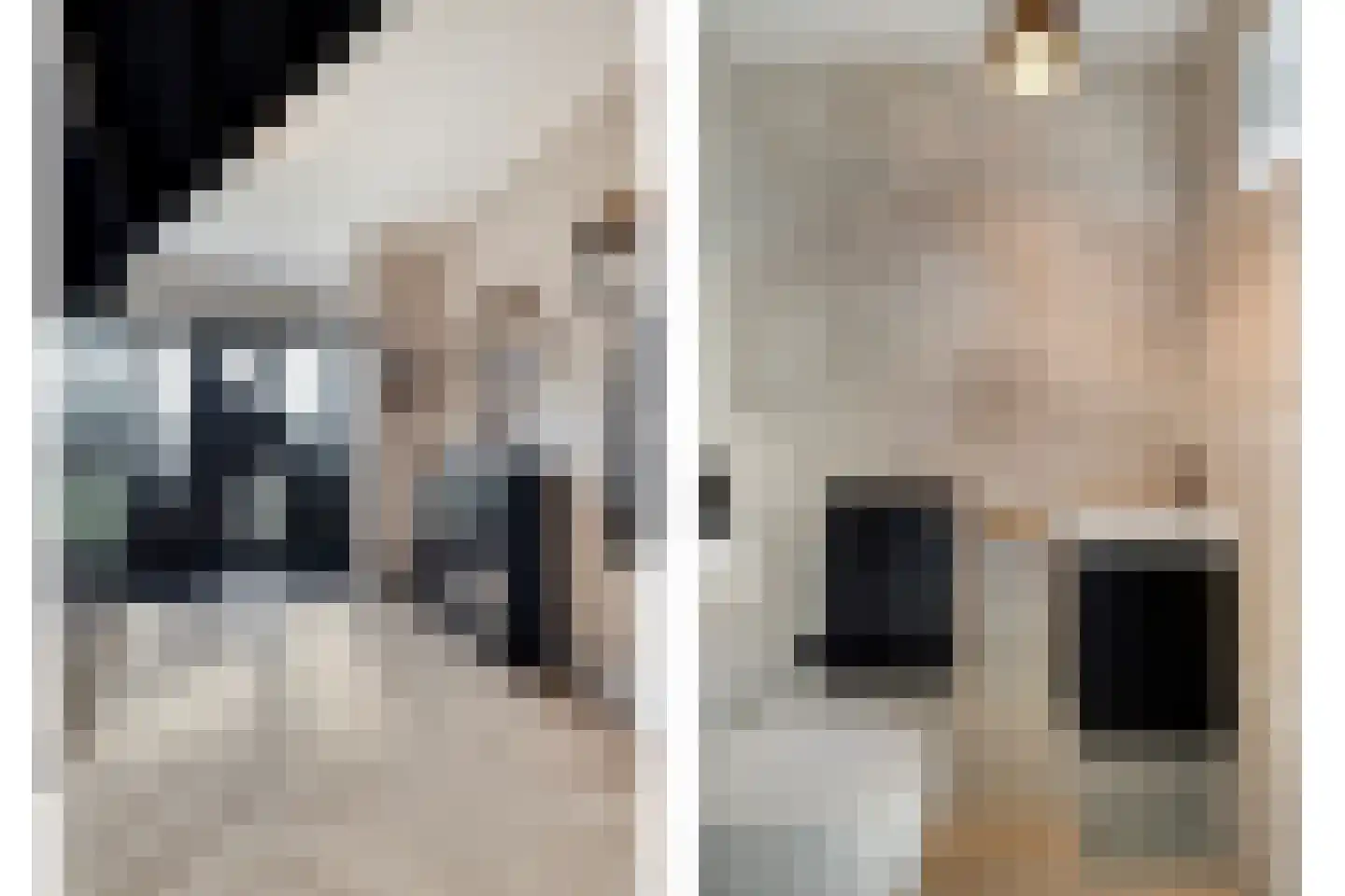 Zoekweg 8 Steenbergen thumbnail 7