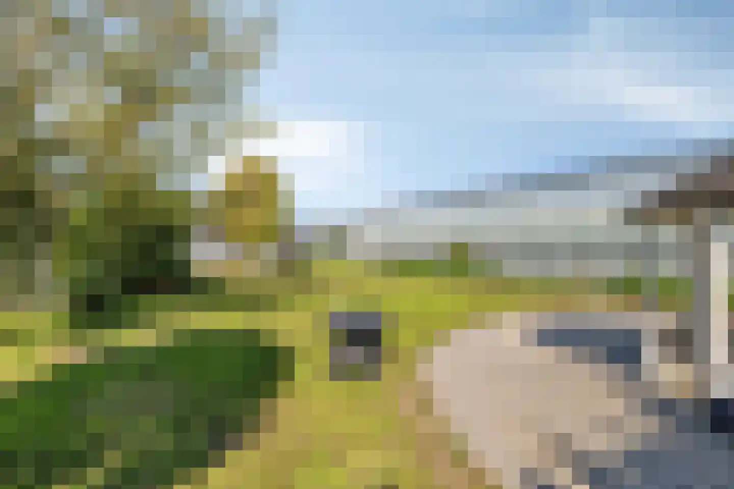 Zoekweg 8 Steenbergen thumbnail 75