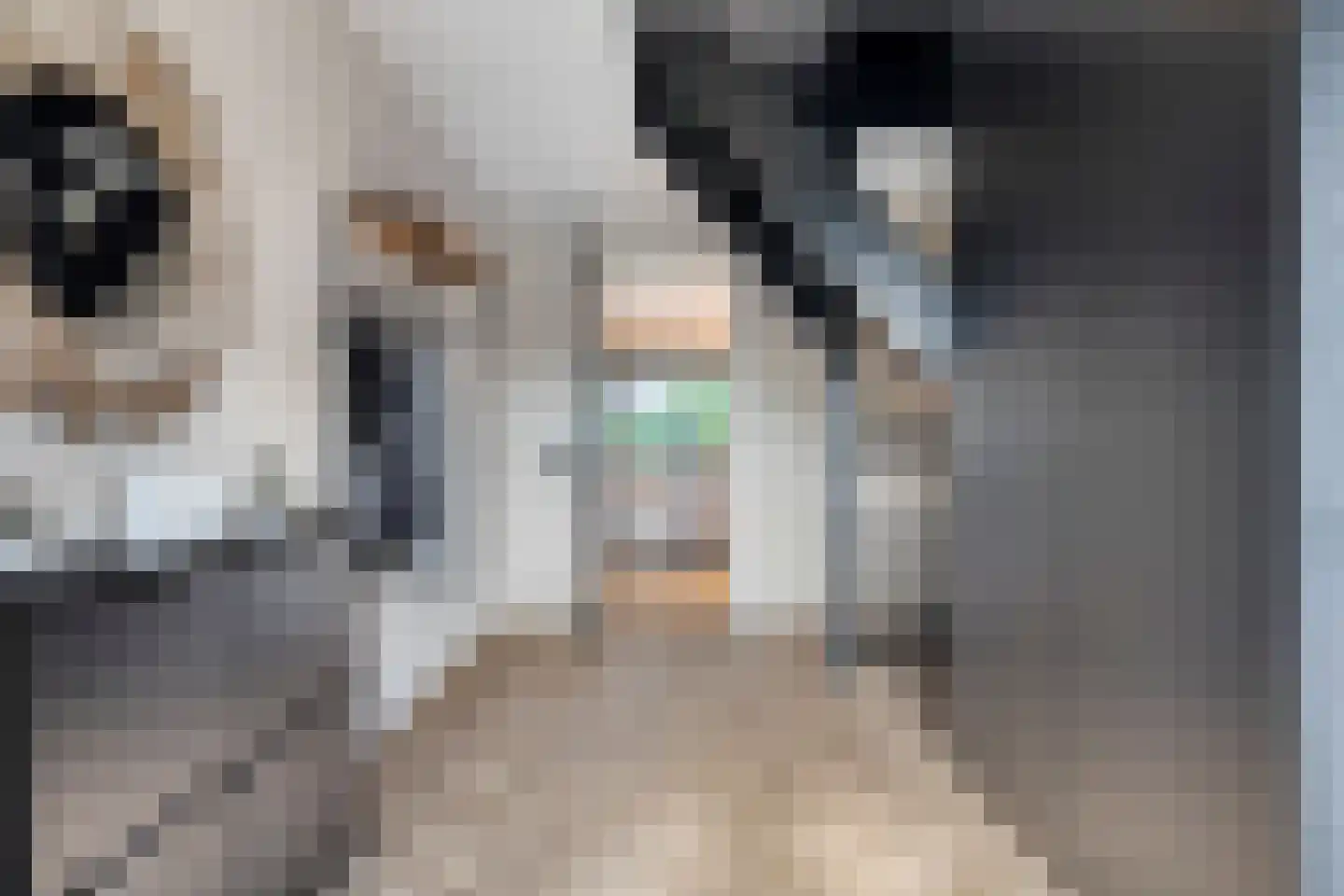 Zoekweg 8 Steenbergen thumbnail 9