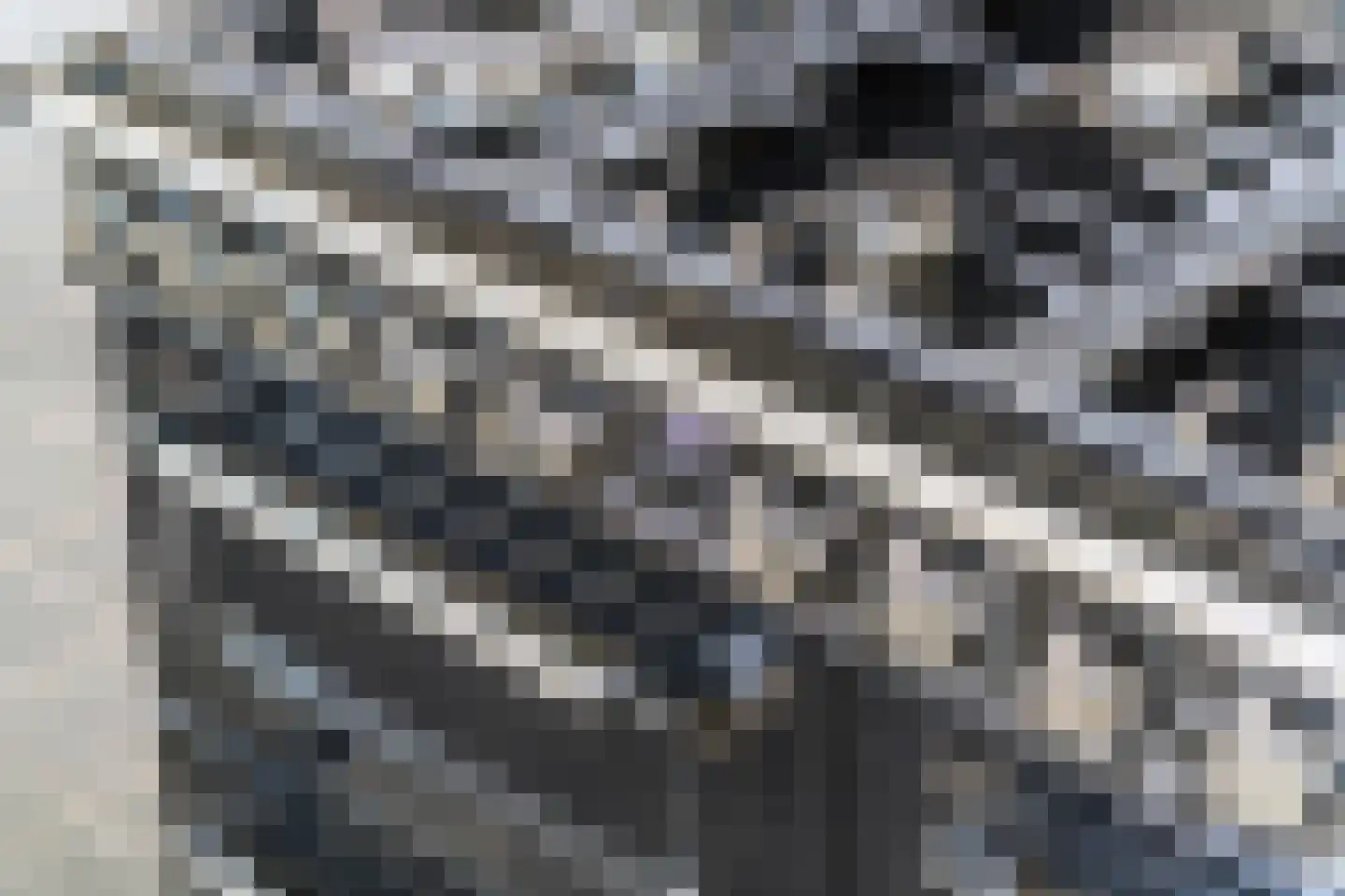 Zoelensepad 20 Tiel thumbnail 14