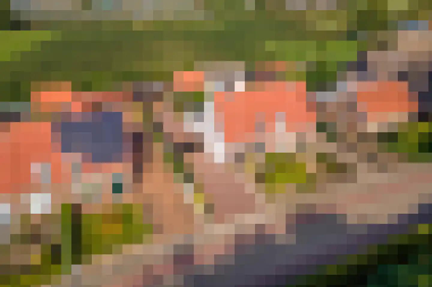 Zoelensepad 20 Tiel foto 2