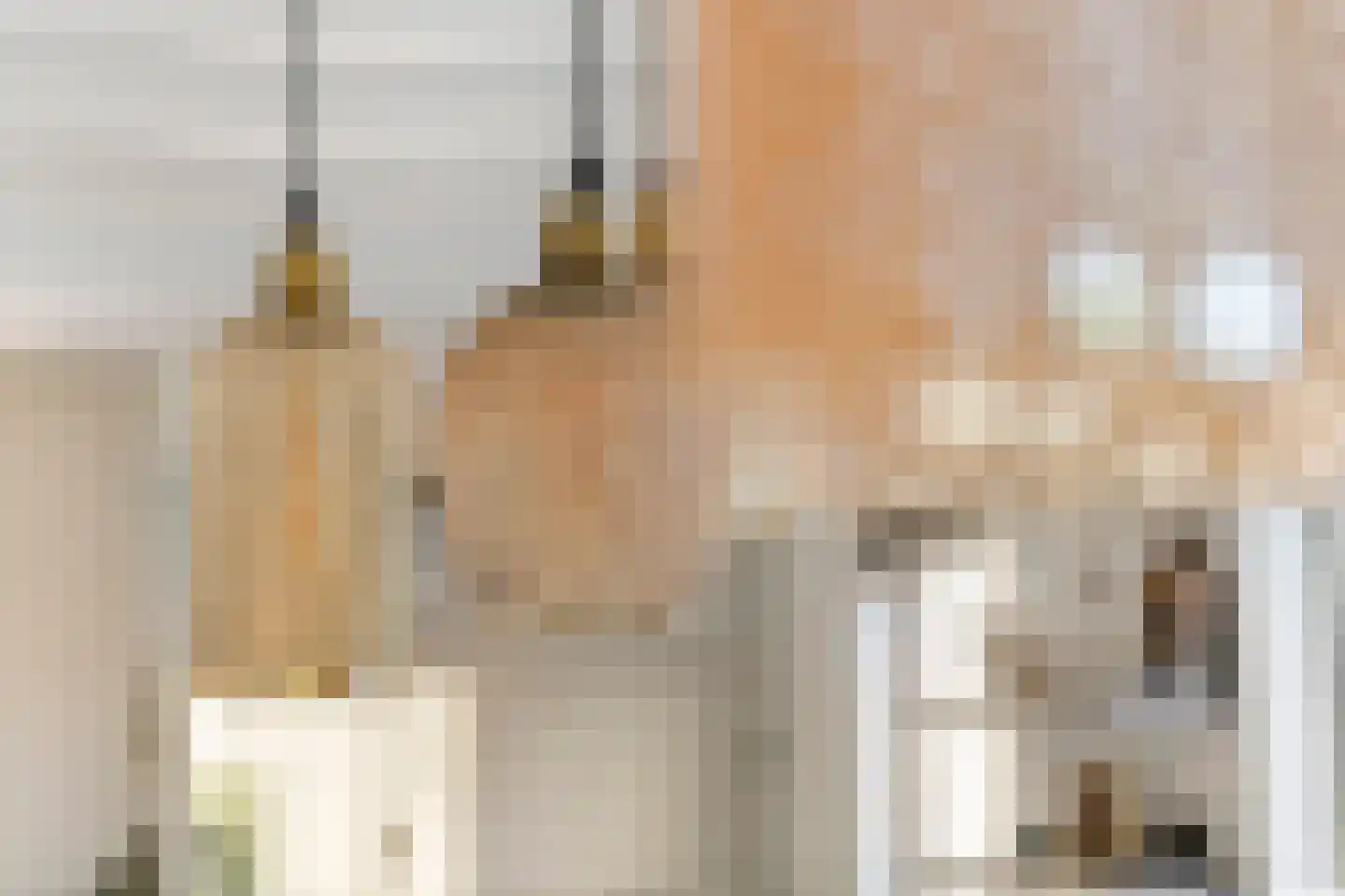 Zoelensepad 20 Tiel thumbnail 23