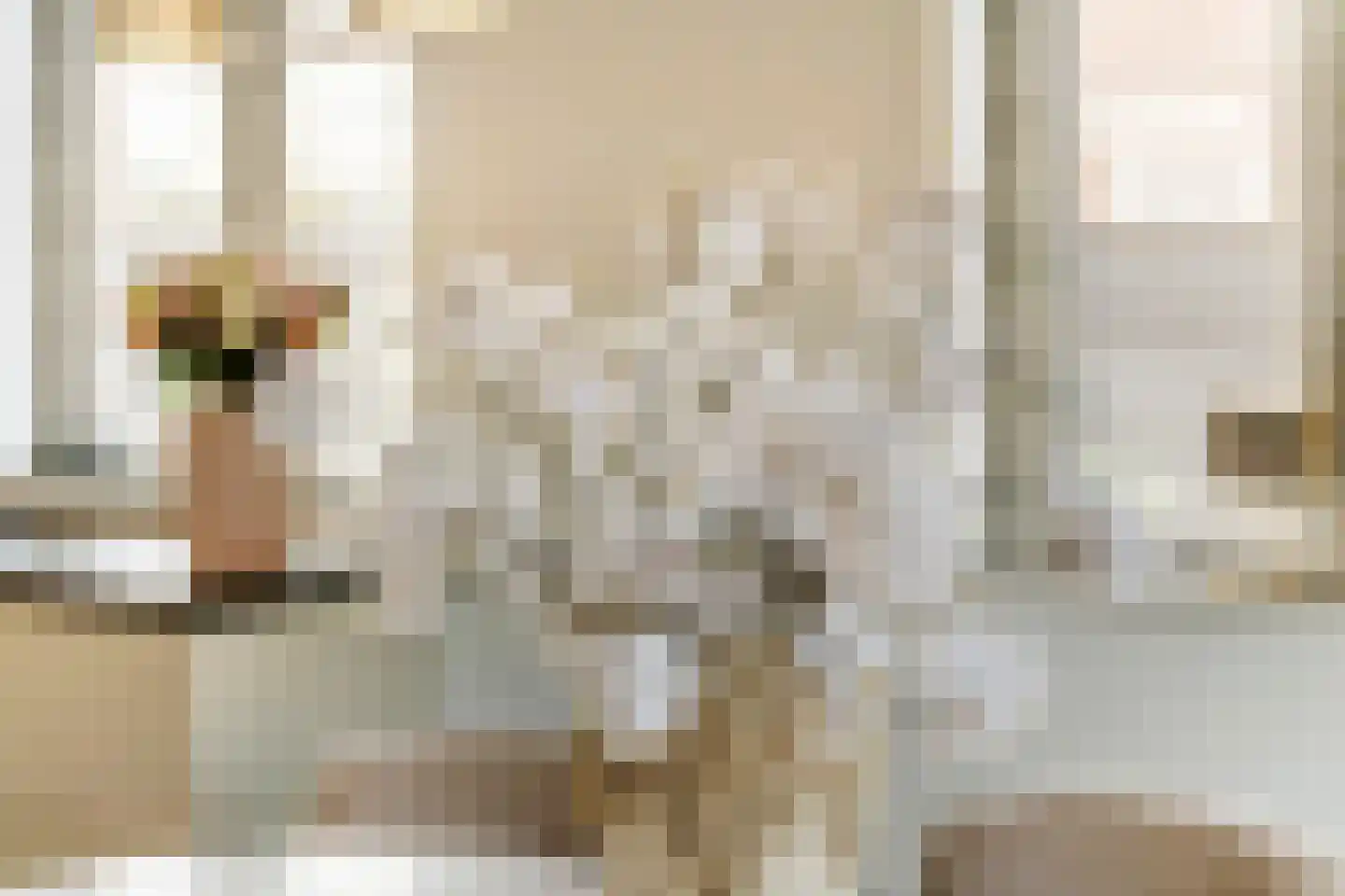 Zoelensepad 20 Tiel thumbnail 25