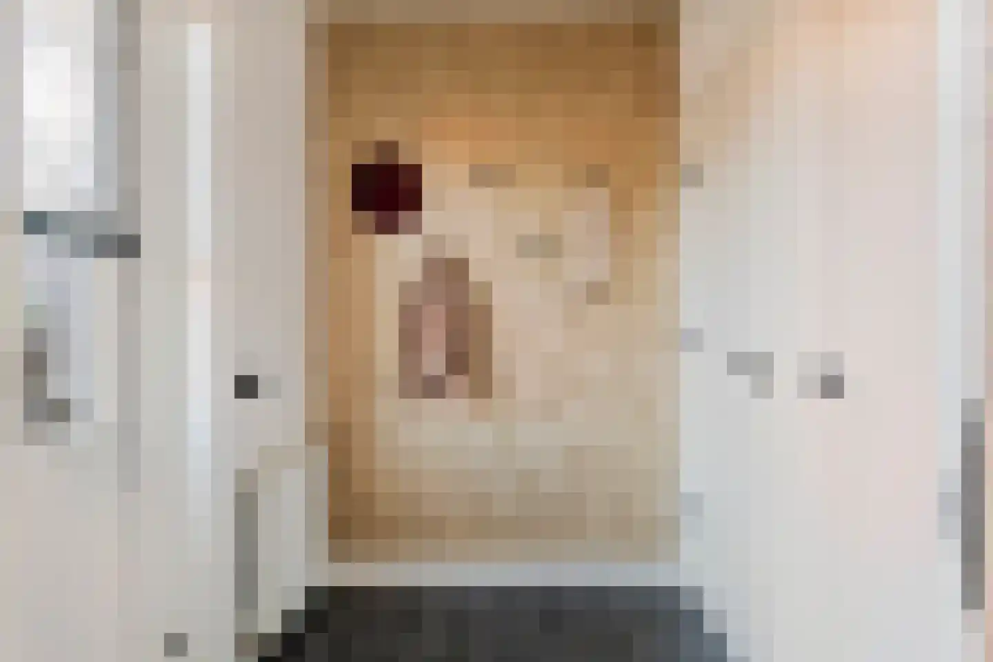 Zoelensepad 20 Tiel thumbnail 34
