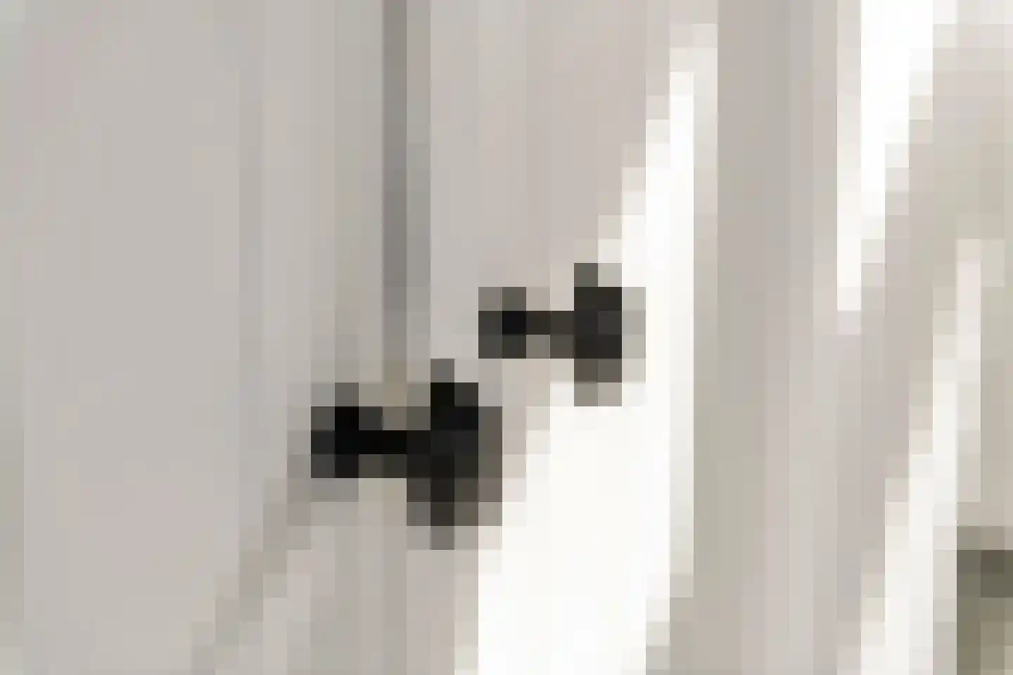 Zoelensepad 20 Tiel thumbnail 36