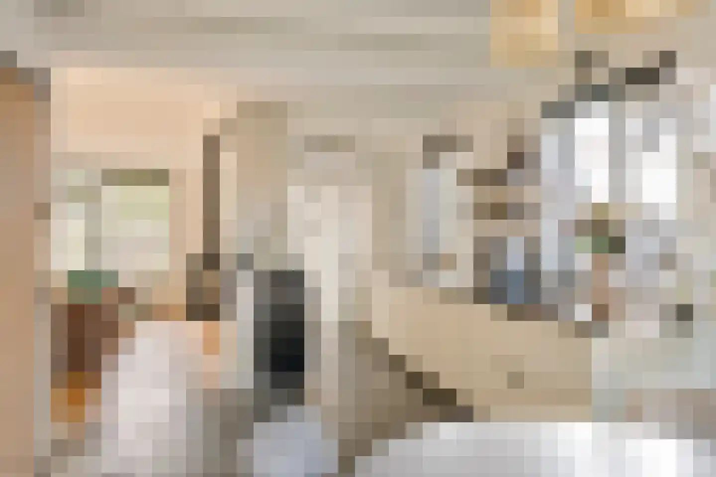 Zoelensepad 20 Tiel thumbnail 4