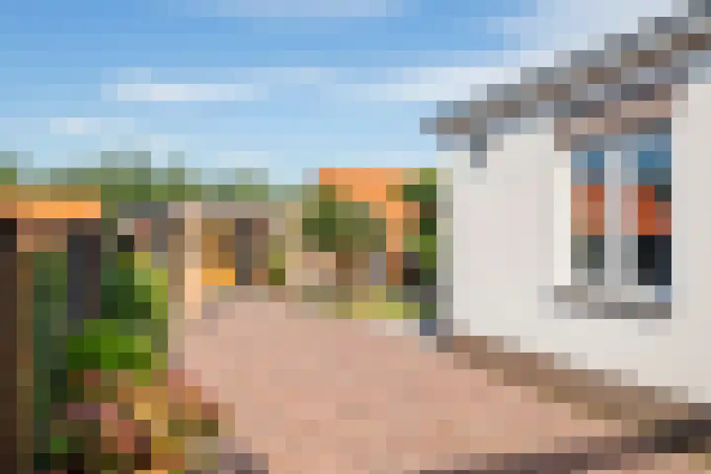 Zoelensepad 20 Tiel thumbnail 40